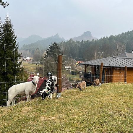 Natur Resort Jetrichovice Luaran gambar